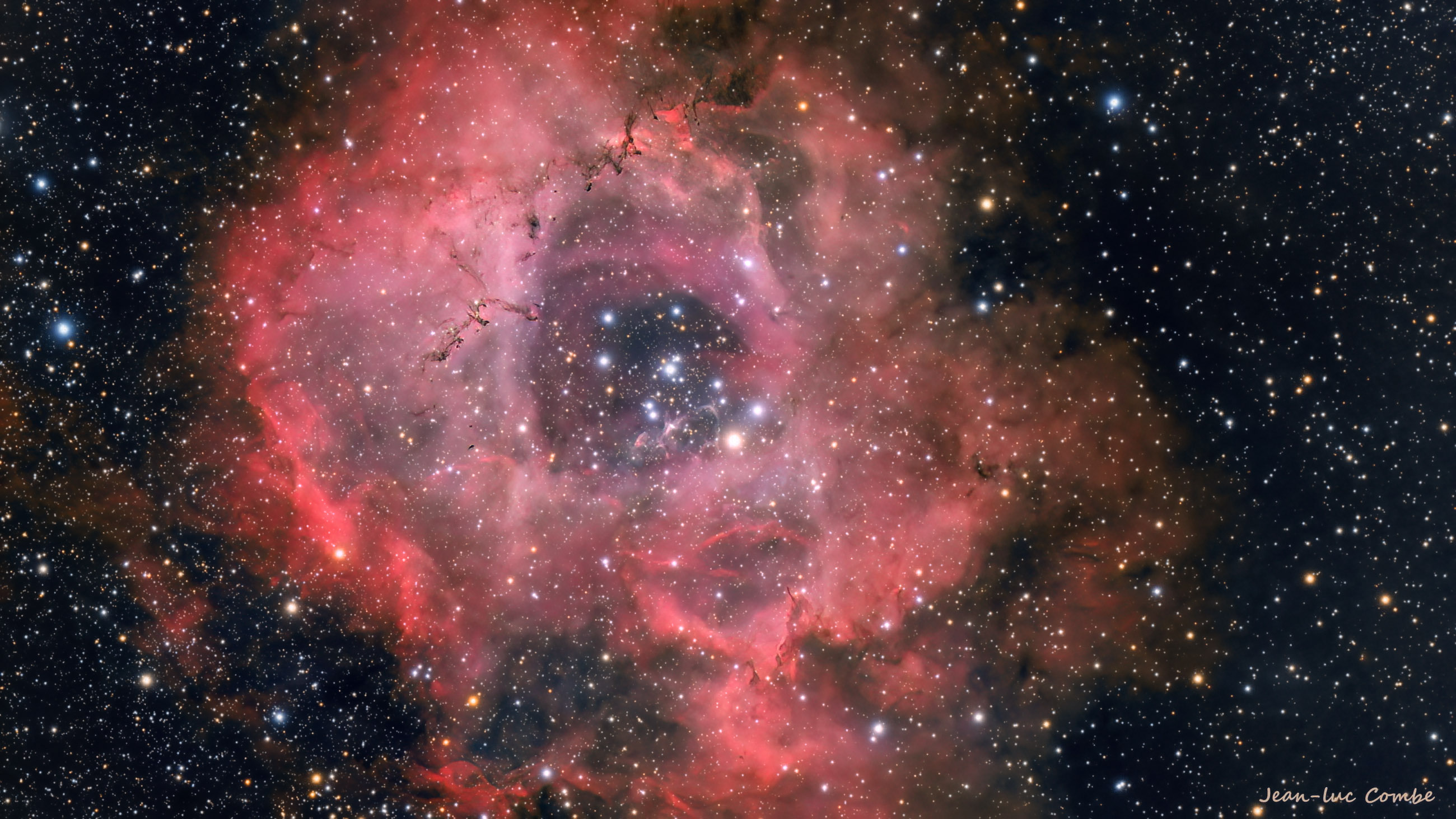 ngc 2244 nébuleuse la rosette